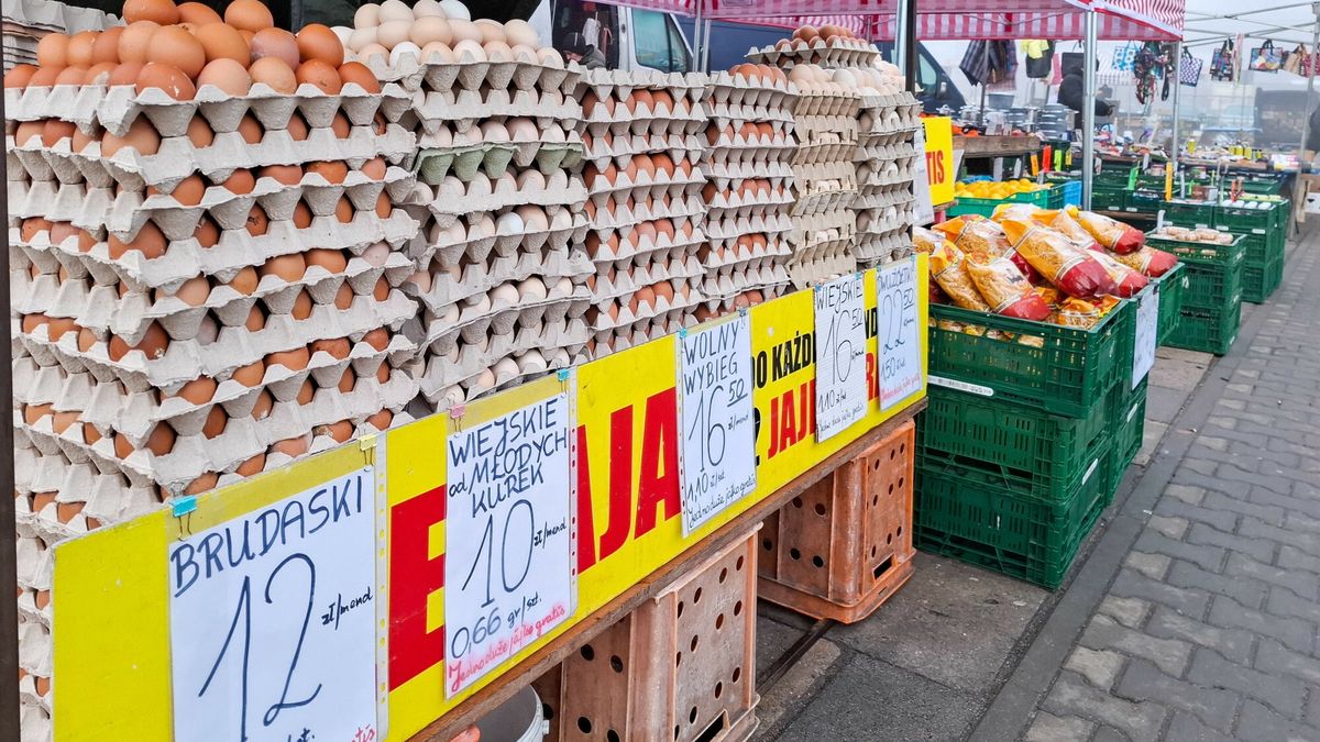 Reporter archiwum 2025 0124.01.2025 Lodz. Inflacja zywnosci w Polsce wyniosla srednio 4,07 procent od 1999 do 2024 roku, osiagajac rekordowy poziom 24,00 procent w lutym 2023 roku. N/z Sprzedaz jaj przeroznych gatunkow kur na baluckim rynku. Fot. Piotr Kamionka/REPORTERPiotr Kamionka/REPORTER