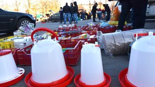 Sławno: Mroźna niedziela na targu rolniczym. Mimo mrozu handlują. Niedziele handlowe 2026 [ZDJĘCIA]