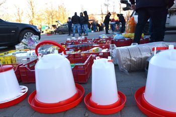 Sławno: Mroźna niedziela na targu rolniczym. Mimo mrozu handlują. Niedziele handlowe 2026 [ZDJĘCIA]