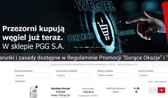 Internetowy sklep z węglem chce się reklamować, potrzebuje agencji