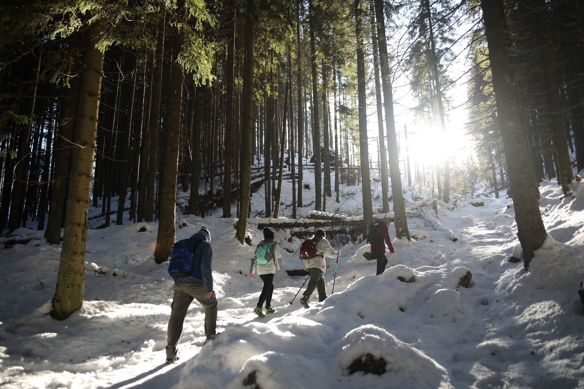 wiadomości,aktualności,WP Wiadomości Trudne warunki w Tatrach. Śnieg, lód i silny wiatr