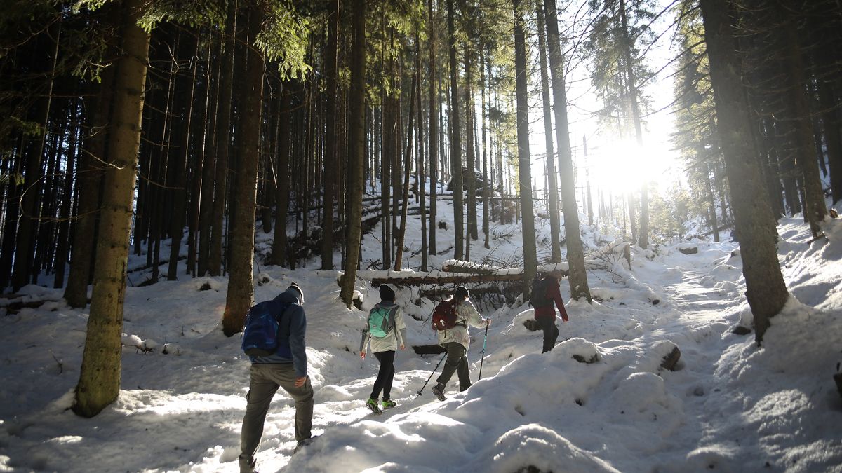 Tatra National Park In Zakopane
Tourists walk on a trail in Tatra National Park in Zakopane, Poland, on January 17, 2026. Tatra National Park is one of 23 national parks in Poland. Established in 1955, it protects approximately 100,000 hectares. The highest peak in the park is Rysy (2,499 m above sea level). Large European predators such as wolves, lynxes, and bears can be found within the park. (Photo by Klaudia Radecka/NurPhoto via Getty Images)
NurPhoto
park, protected area, tourists, activity, national parks, nature conservation, klaudia radecka, 000 hectares, highest peak, contrast, 100, landscape, established 1955, wildlife, january 17, trail, bears, conservation, nurphoto, peak, mountains, 2, lynxes, european predators, trees, 499 meters, view, rysy, wolves