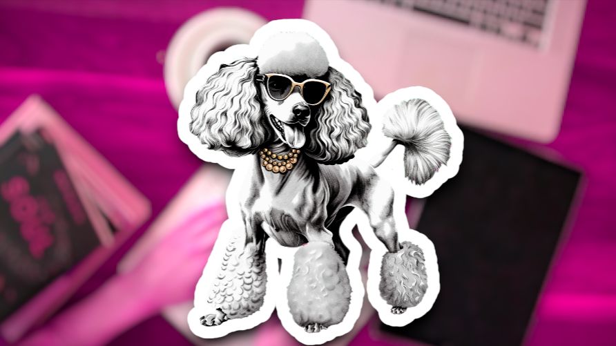 Kulisy pracy z gwiazdami 