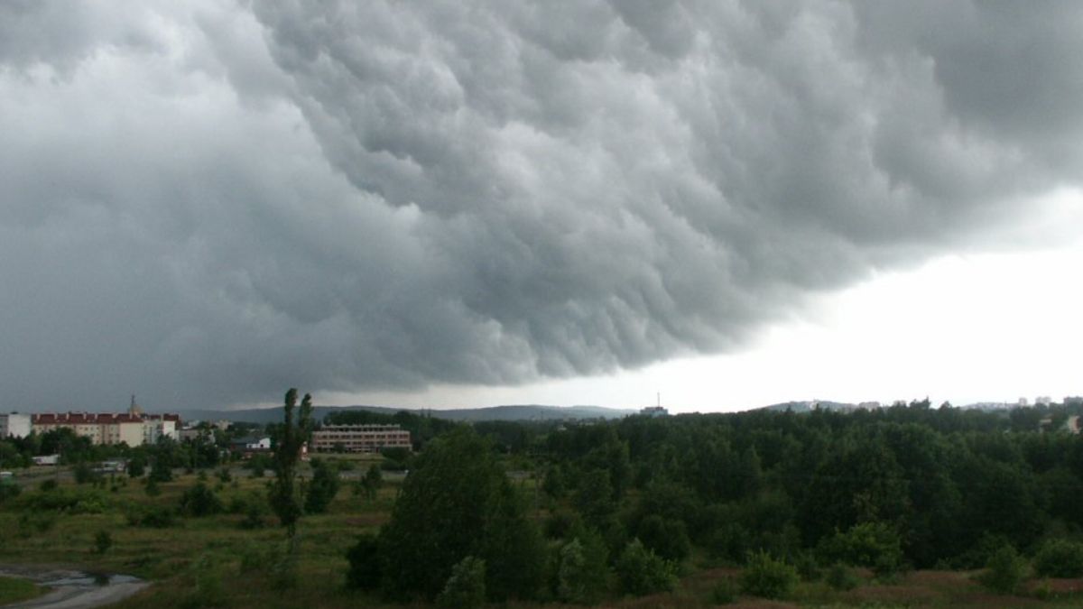 Kielce (zdj. podgl.).