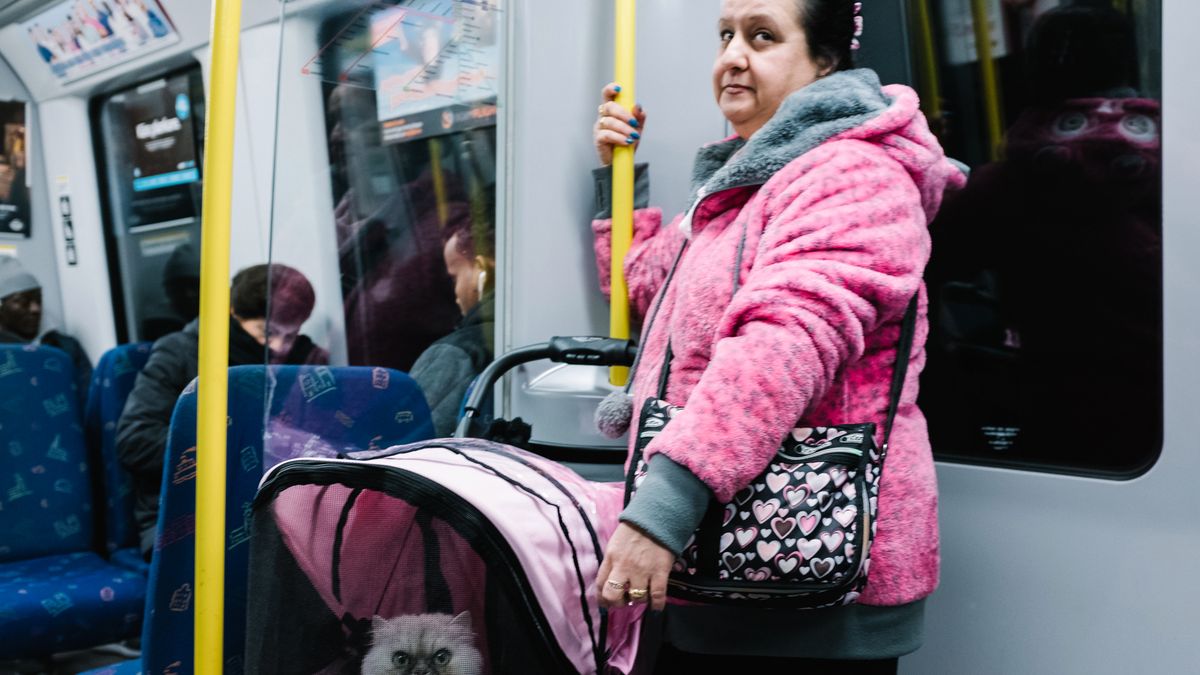 Uliczne rozmowy: Tomasz Watras 1