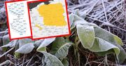 Fala przymrozków. Temperatura spadnie do -2 stopni