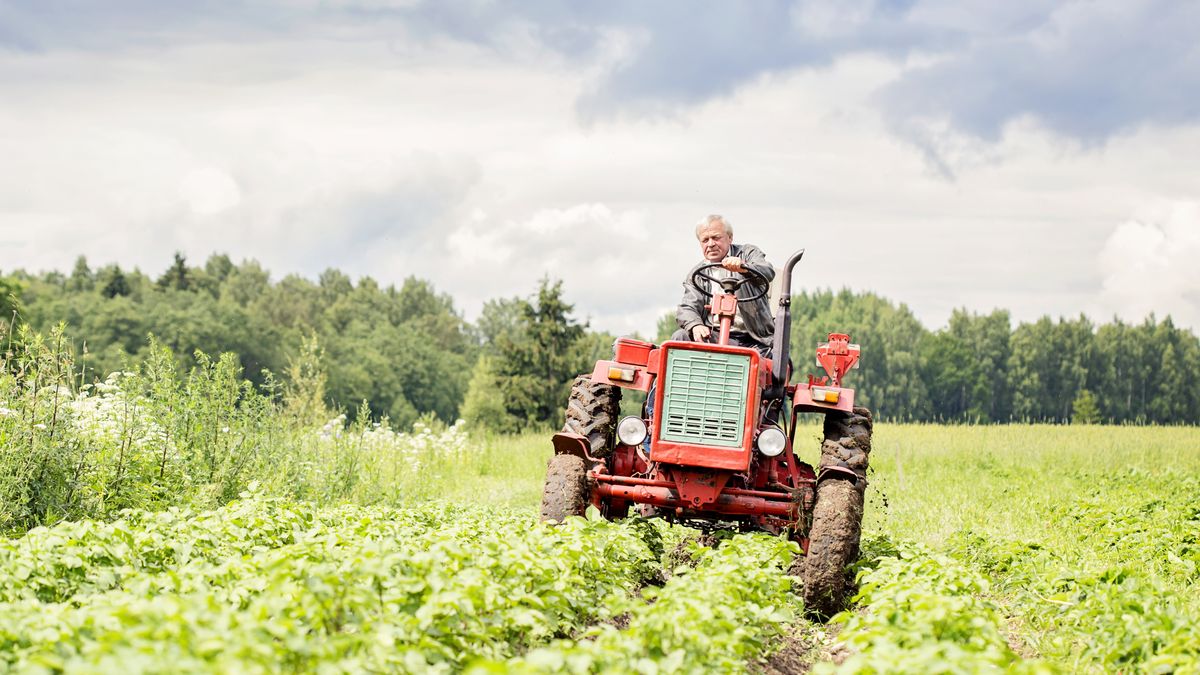Rolnictwo coraz mniej się opłaca? Rolnicy odpowiadają