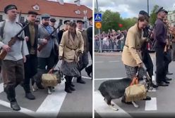 Koza zbuntowała się na paradzie wojskowej w Białorusi. "Sabotażystka"