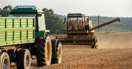 Rząd miał plan na zboże. Nic z tego nie wyszło. Uderza w UE i USA