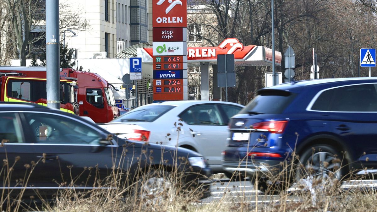 "To jest ryba". Ekonomista mówi, co jest lepsze od odgórnego obniżania cen paliw