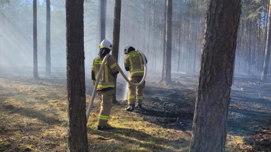 Pożar lasu