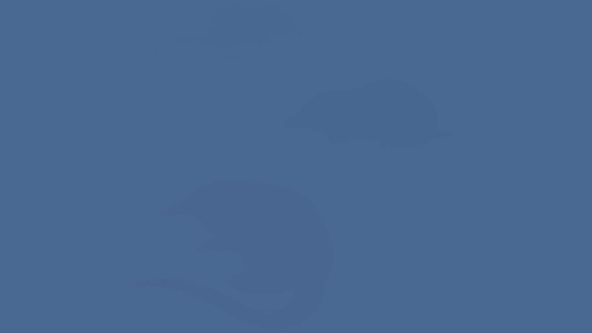 Ile zwierząt potrafisz dostrzec na tym obrazku?