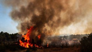 "Smok ziejący ogniem" nad Francją. Po raz pierwszy w historii kraju pojawiła się chmura pyrocumulonimbus