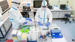 Koronawirus w Polsce. "Wszyscy narzekają na chaos w sanepidzie, ale mało kto wie, że czasami pracujemy nawet 24h na dobę"