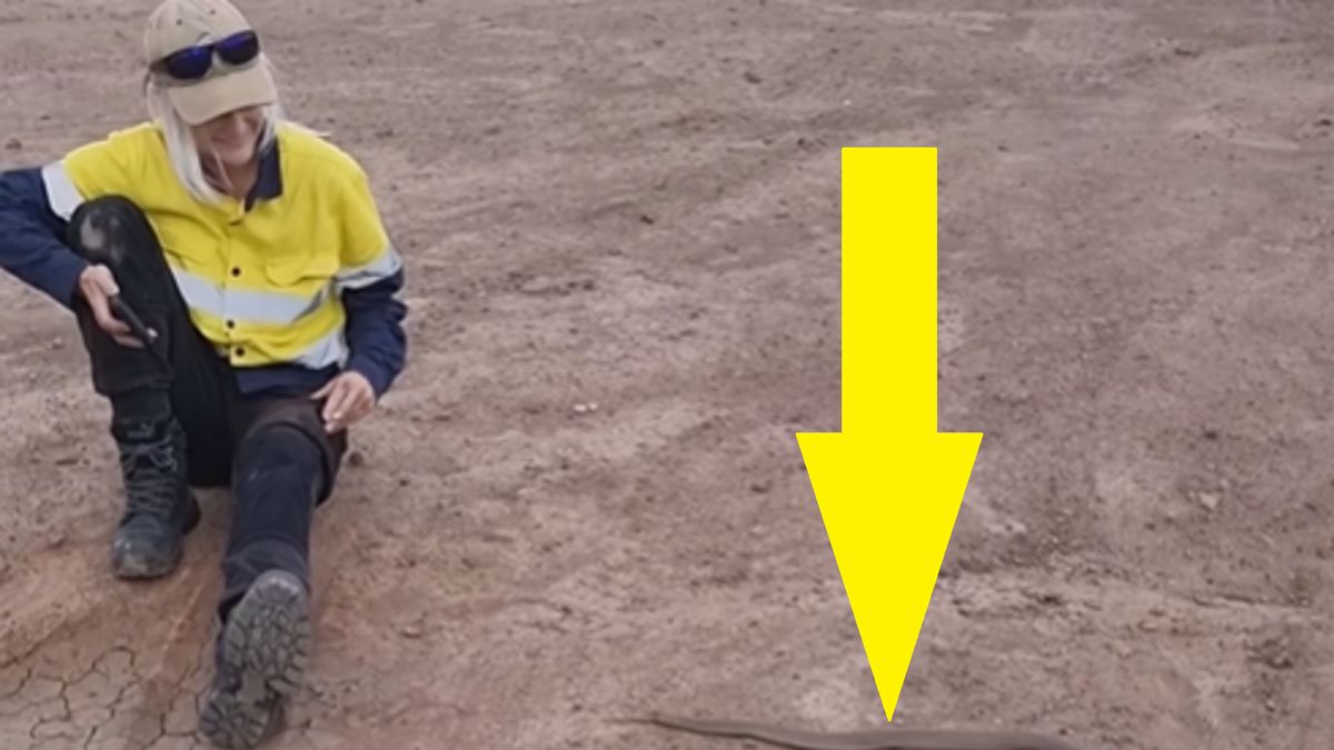 Australijka zachowała stoicki spokój