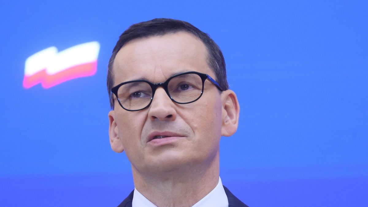 Hodowcy zwierząt apelują do premiera ws. gazu, węgla i energii. Mówią o "naddatkowych zyskach" państwowych firm