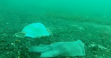 Wpływ pandemii koronawirusa na środowisko. Nurek pokazał nagranie