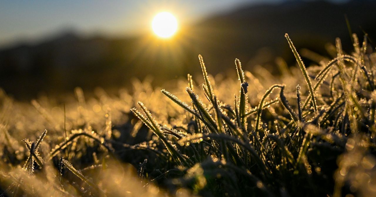 Przymrozek pod Tatrami. Kierowcy sięgnęli po skrobaczki, a trawy pokrył biały szron
