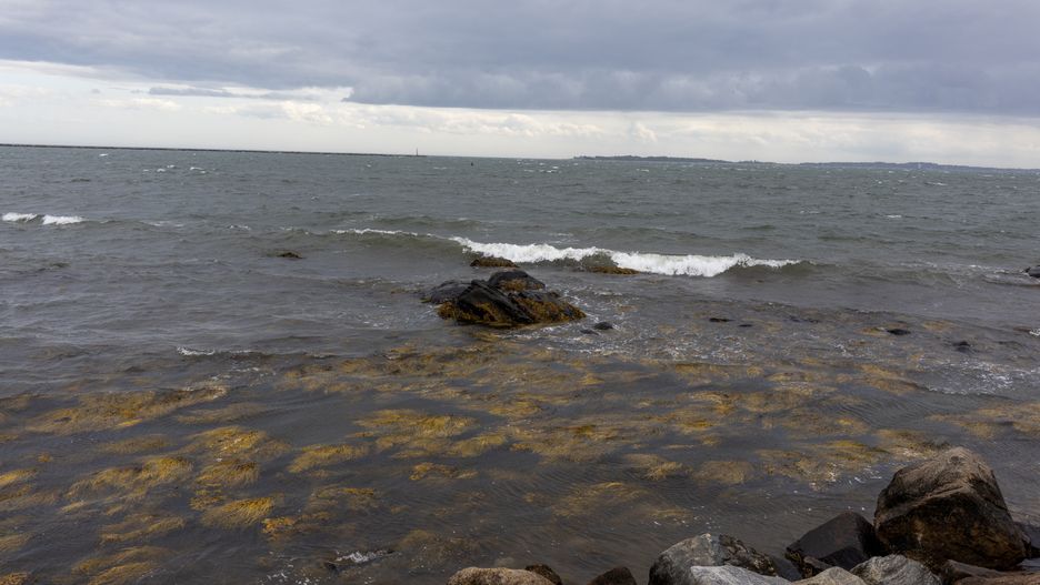 STONINGTON, CONNECTICUT - MAY 31: Strong winds tip up waves on the Atlantic Ocean shoreline, May 31, 2025, in Stonington, Connecticut. (Photo by Andrew Lichtenstein/Corbis via Getty Images)