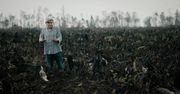 "Zielone kłamstwa": Jak korporacje wmawiają nam, że kupując, działamy dla dobra planety