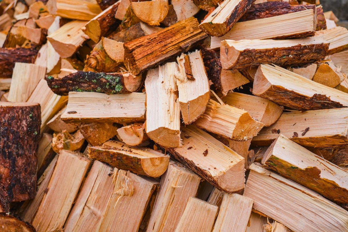Pamiętaj o tym podczas zakupu i sezonowania drewna 