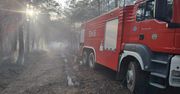 Puławy: Pożar lasu na granicy województw. Strażacy walczyli z ogniem