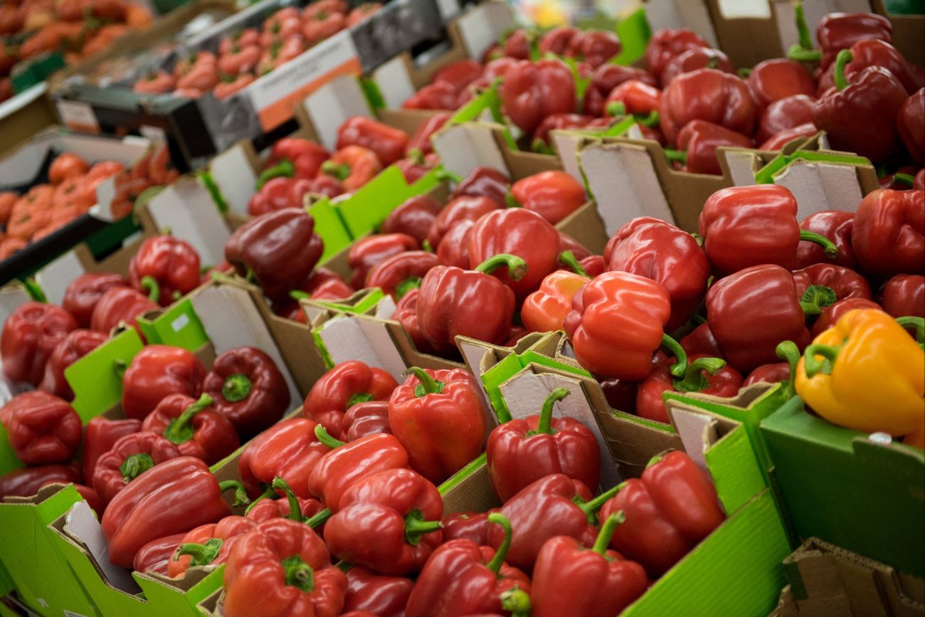 Wysłali paprykę do Polski, zarobili pół miliarda. Padł rekord