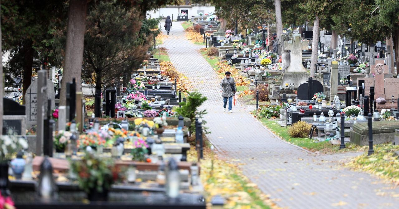Lublin: Groby sprzedają jak mieszkania. Przy Lipowej zapłacisz fortunę