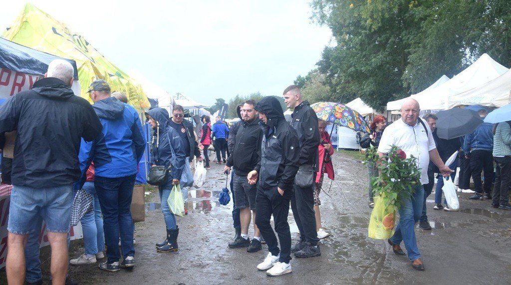 Strzelce Dolne: Tłumy w niedzielę na Święcie Śliwki 2025. Kierowcy narzekali na ogromne korki