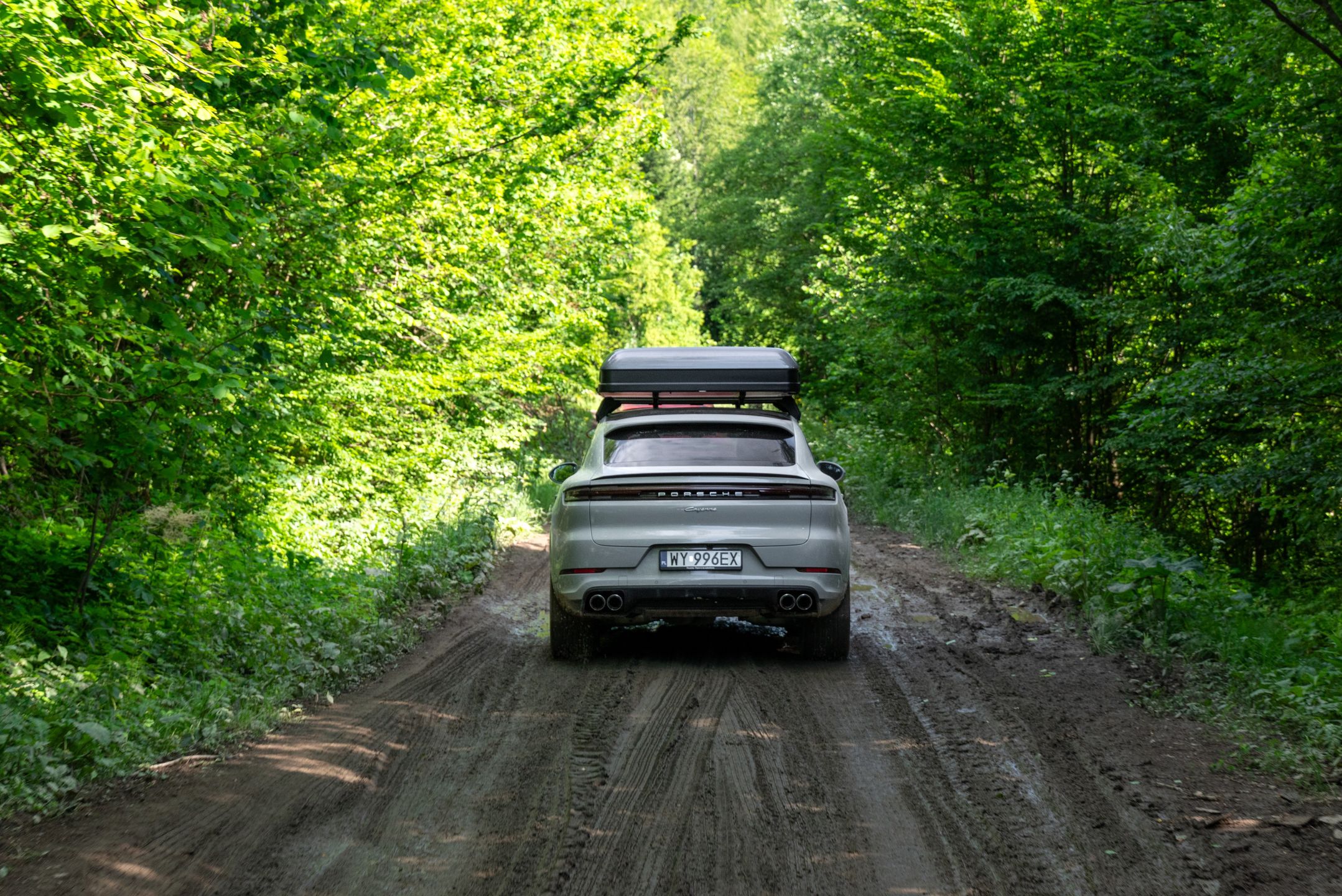 Porsche Cayenne w Bieszczadach