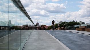 Poznań: Przez szklane balustrady Mostów Berdychowskich giną ptaki
