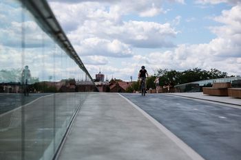 Poznań: Przez szklane balustrady Mostów Berdychowskich giną ptaki