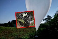 Papierosy z Białorusi na balonach. SG zatrzymała 7 osób