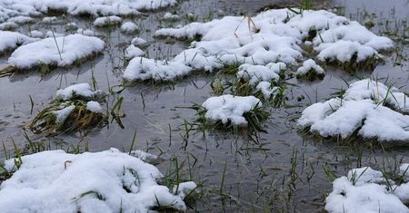 Przed nami kilkudniowa odwilż. Będzie deszcz zamiast śniegu. Pod koniec tygodnia -17 st. C