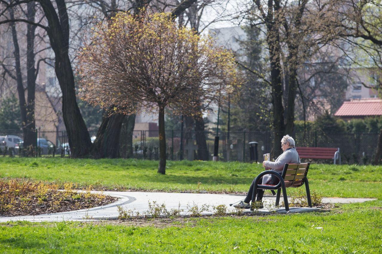 Skwer Marzeń na Osiedlu Skrzydeł Polskich w Bielsku-Białej zostanie rozbudowany w ramach projektu.