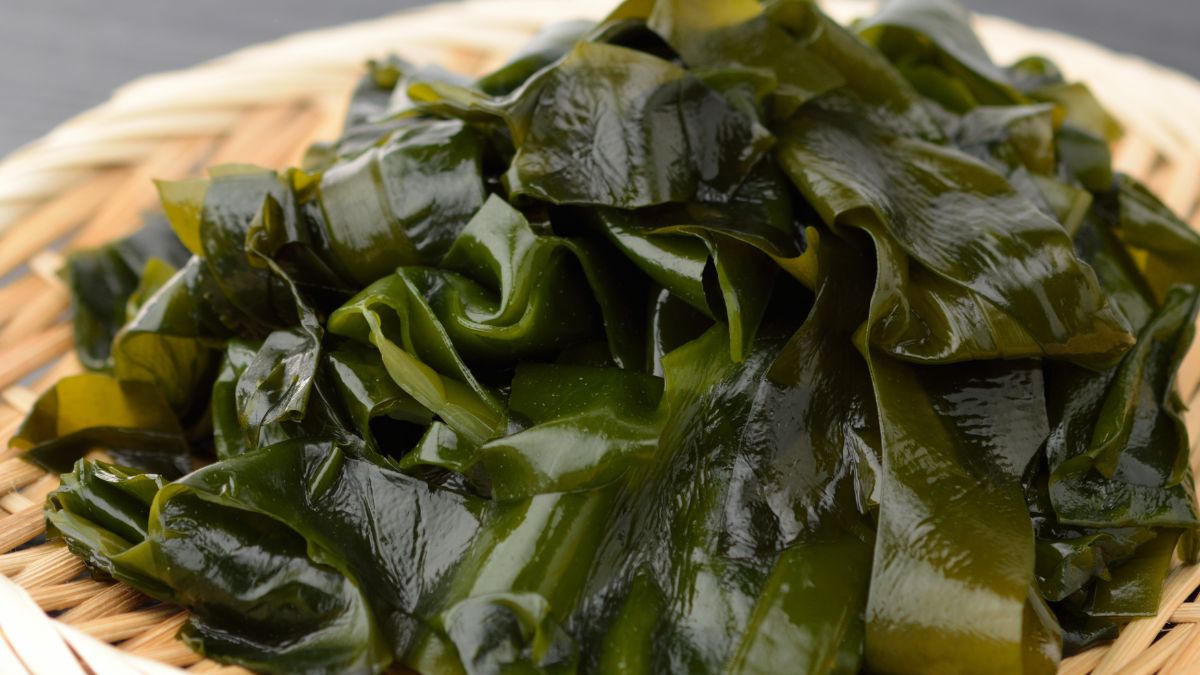 Wakame to przysmak kuchni japońskiej