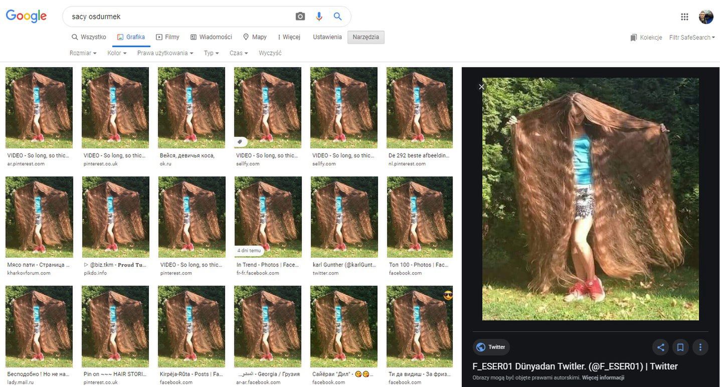 Wyniki wyszukiwania obrazem Google