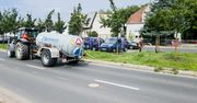Poznań: Deszcz, który nie wystarcza. Dlaczego podlewa się drzewa nawet w deszczowe dni?