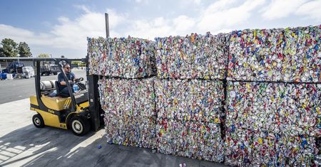 Rodzina znalazła nietypowy sposób na biznes w USA. Zarobili 7,6 mln
