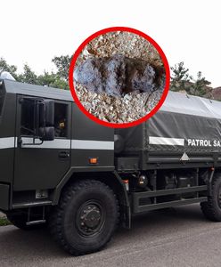 Saperzy w akcji. Pocisk z czasów II wojny światowej w ogrodzie