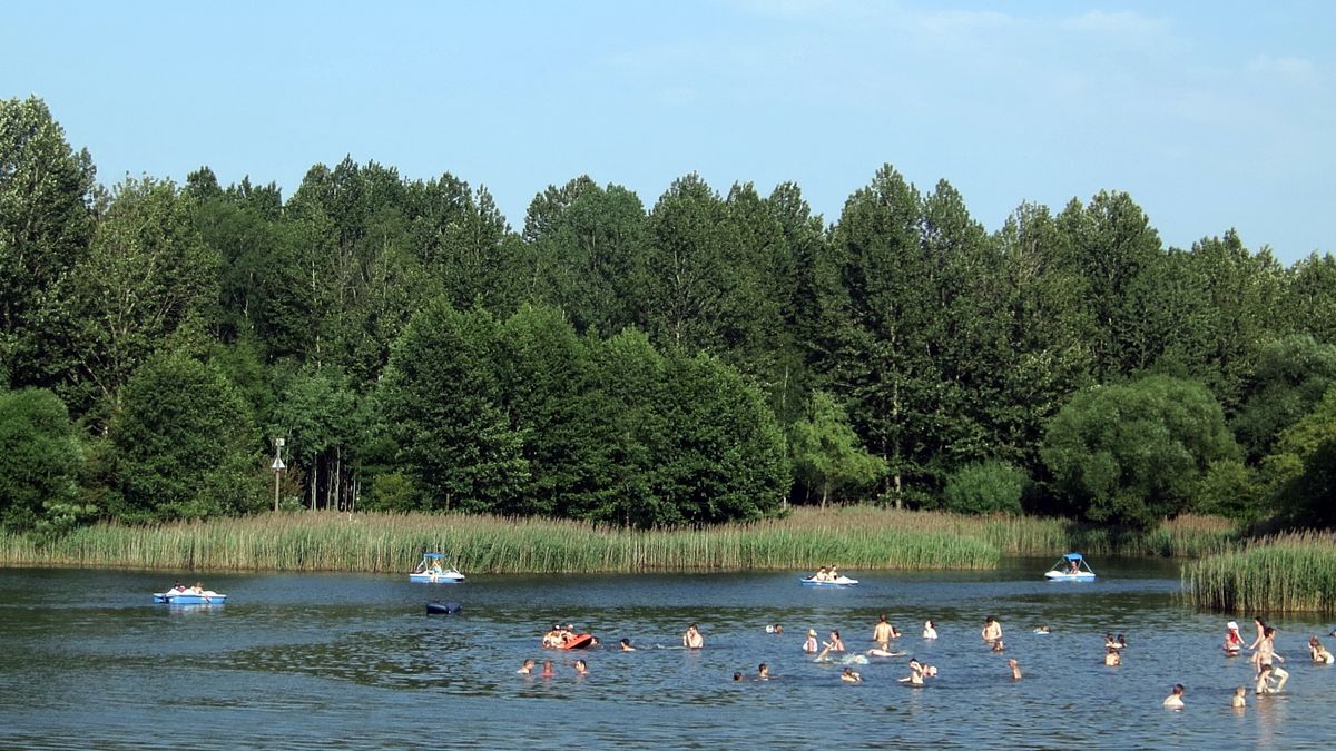 jezioro, woda, las, lato, wakacje, wypoczynek, relaks
