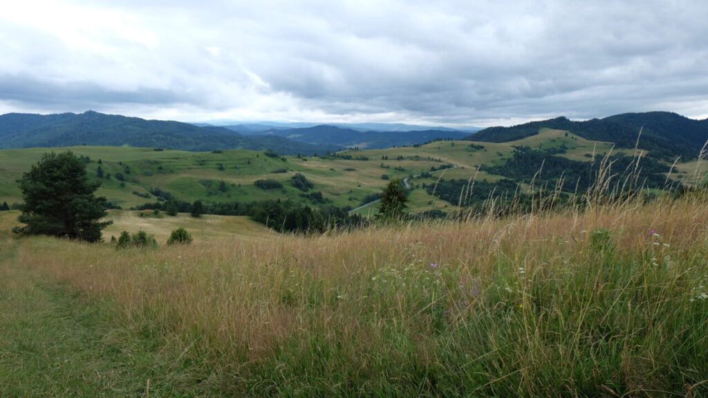 Lipnik w Słowacji - Przełęcz pod Tokarnią
