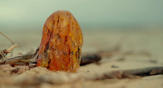 „Złoto Bałtyku 4” od 29 marca w History