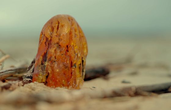 „Złoto Bałtyku 4” od 29 marca w History