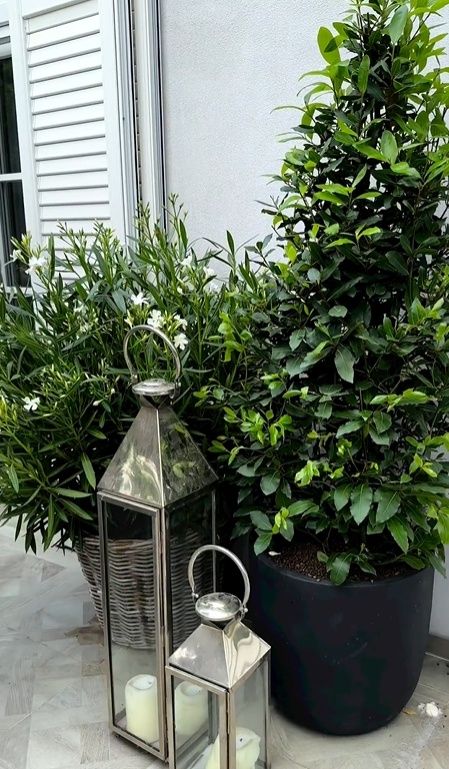 Rozenek zadbała o kameralne oświetlenie