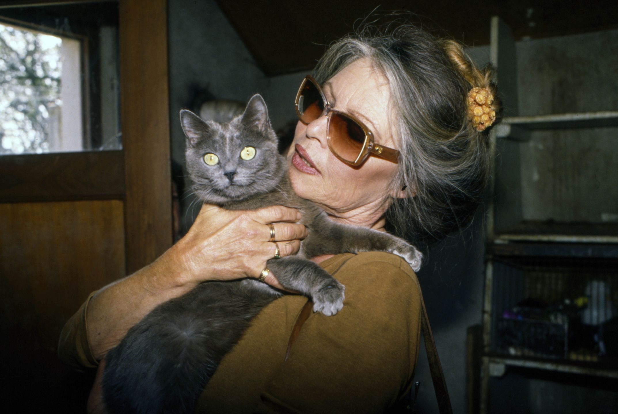 Brigitte Bardot w 1991 roku