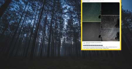 Leśnicy pokazali zdjęcia. Zachwycający widok