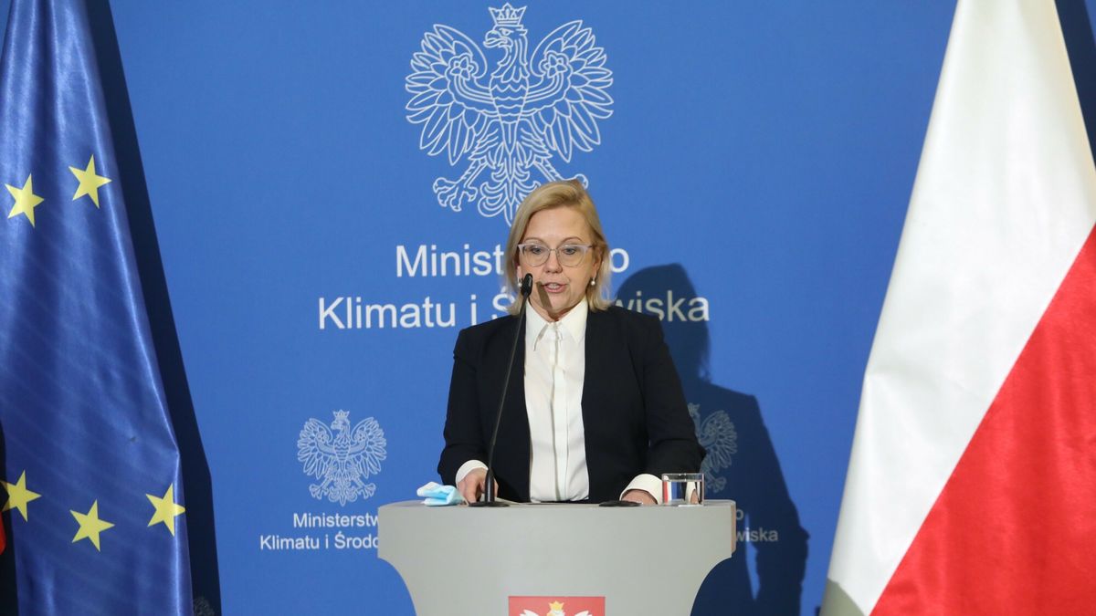 Anna Moskwa, szefowa resortu klimatu i środowiska 