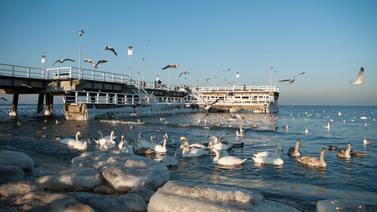 Molo w gdańskim Brzeźnie jest oblegane przez turystów bez względ