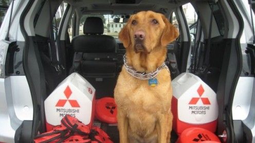 Mitsubishi i Fido na plaży